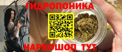 крисы Заволжье