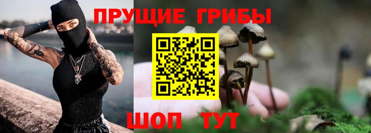 Галлюциногенные грибы Psilocybe  Вход с VPN  Кумертау  Псилоцибиновые грибы Psilocybe 
